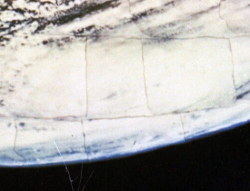 FIRST COLOR PHOTO OF EARTH FROM SPACE – THE BERG FILM III